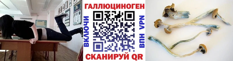 наркота  Выкса  Псилоцибиновые грибы мухоморы 