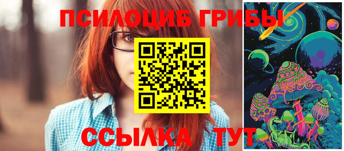 Галлюциногенные грибы прущие грибы  Галлюциногенные грибы Psilocybe  Вход с VPN  где купить наркоту  Выкса 
