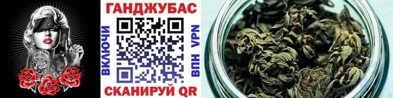 блэк спрут зеркало  Выкса  Конопля VHQ  что такое  